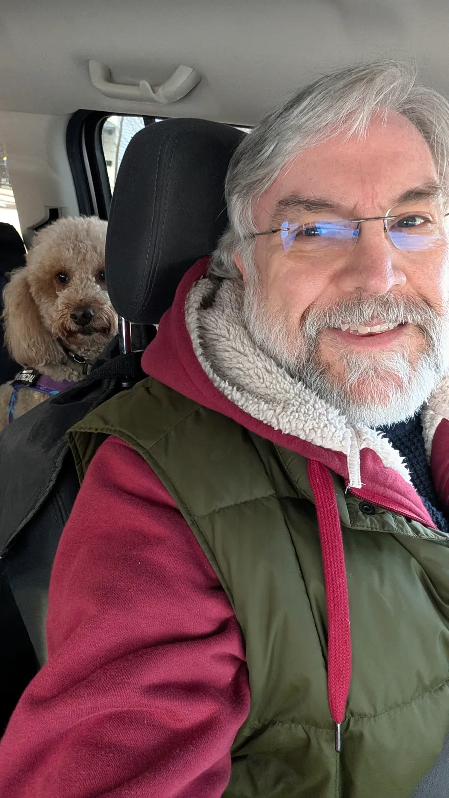 Maddie the goldendoodle, February 2025
