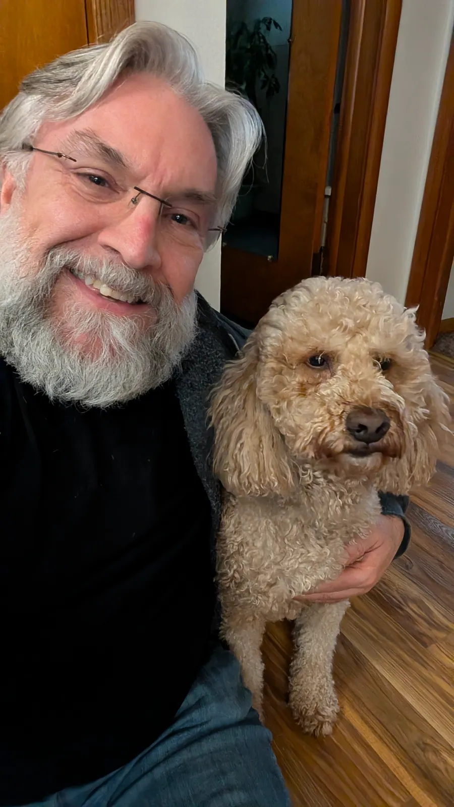 Maddie the goldendoodle, April 2025