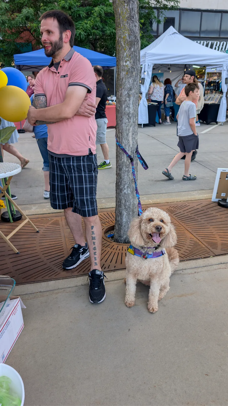 Maddie the goldendoodle, June 2025