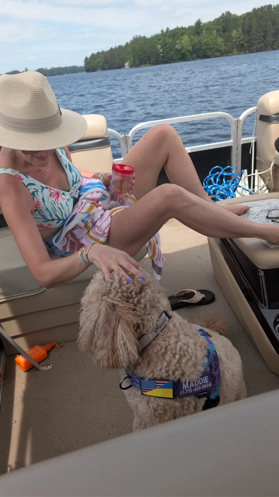 Maddie the goldendoodle, July 2025