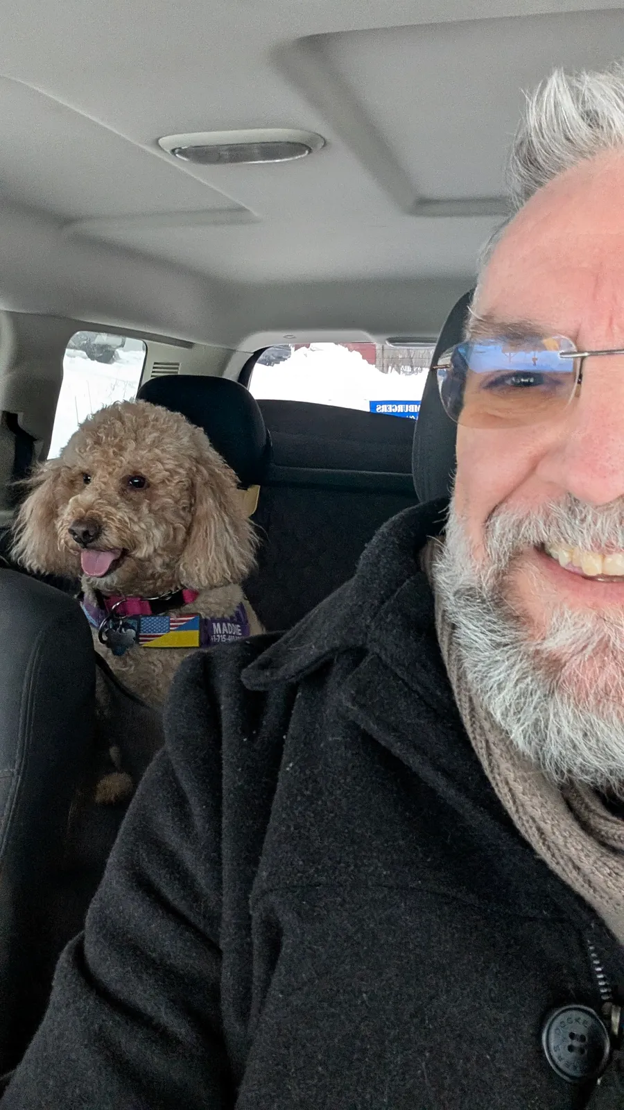 Maddie the goldendoodle, February 2026
